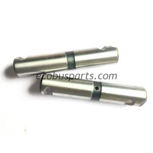 Pin Gwanwyn Dail Cefn